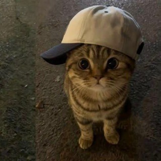 @guuubiik