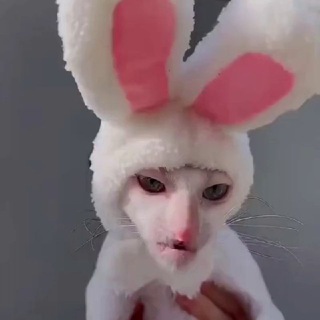 @h3xc0d3r