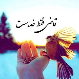 @hamedmaleki313