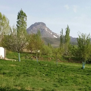 همه کسی