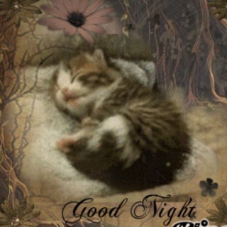 @Hamis_0
