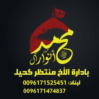 حملة أنوار آل محمد (ص)