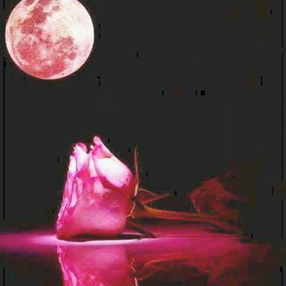 هےـِمِےـسًےـ🌹 ٱلَمِےـشّےـٱعَےـر💖