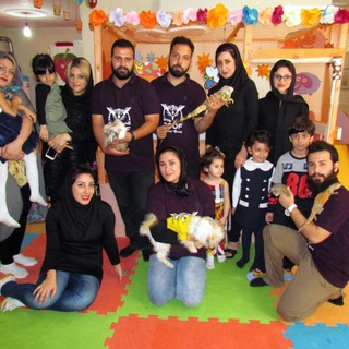 👈شرکت کلبه دام هانی👉