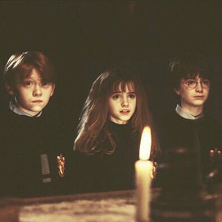 Harry Potter Facts✨💦