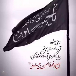 @Hasan55211