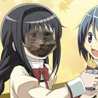 @Hatsune_miku_lover_number_1