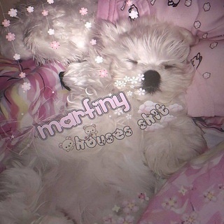 ꒦ ꒷𝑚𝑎𝑟𝑓𝑖𝑛𝑦 &dagger