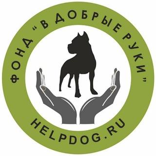 helpdog.ru