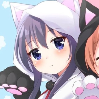 @hhakimaaa