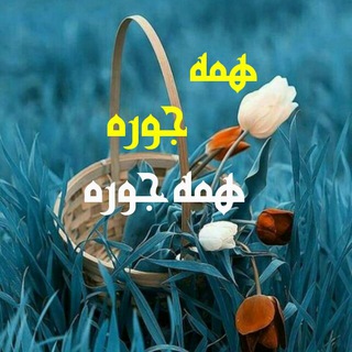 همه جوره