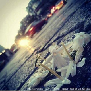 عُيْوِنًڳّ غِرٌأُمِيْ •🌱💚﴿ֆ ❥