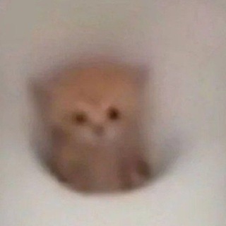 @hi_hiii_he_hee