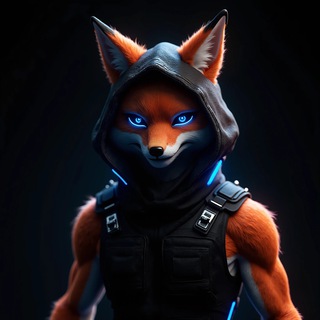 @HideFoxSupport