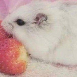 @hmkhhh