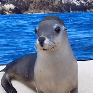 Я так хохотался