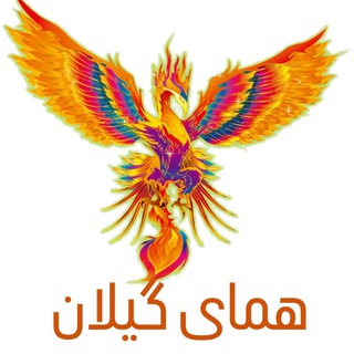همای خبر📲