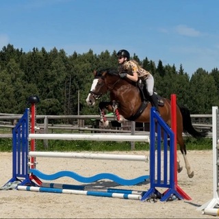 @hooorses_forever