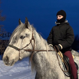@horse115