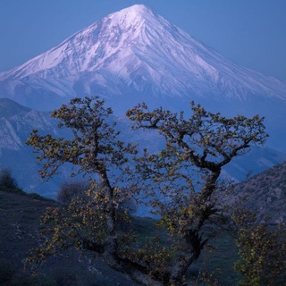 @Hosseintarighat