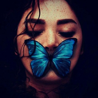 @hse_aramesh