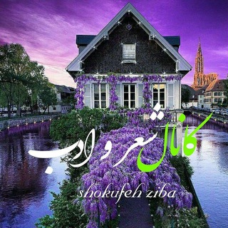 🌷❦ڪــانــال ڪُݪبــــہ شــــعـــــــر ۅ عــــشــــقــ❧🌷