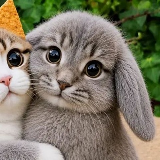 @hugs_143