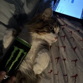 @i_kill_downs