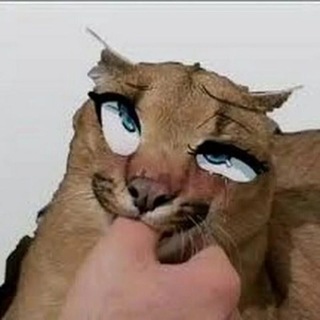 @Ibeta_x