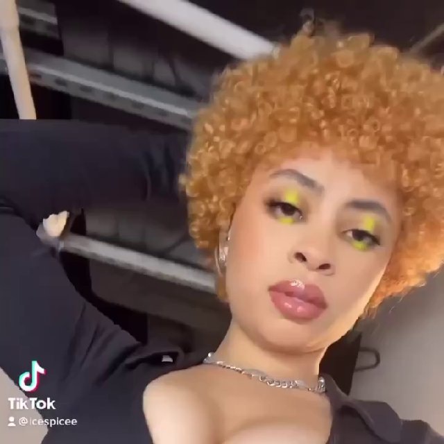 @icespicensfw