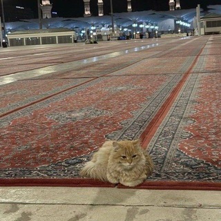 @iF_Q_S