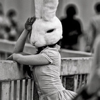 @Igel_99
