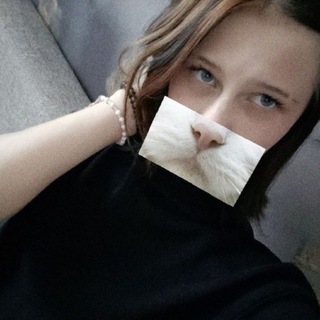 @Ilovecats_01