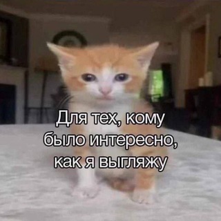 @ILoveDirkStrider