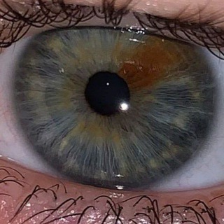 @immasih