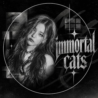 @immortal_cats_info