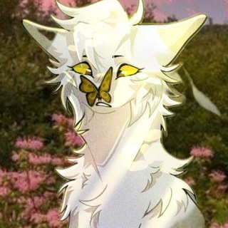 @ImPopo_p