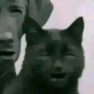 @Imyourheadace