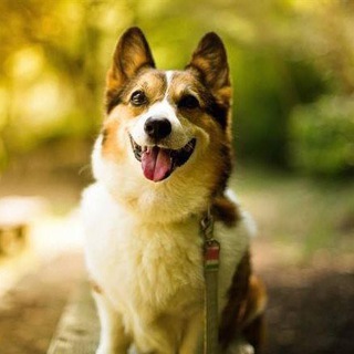 Telegram contact with @incesten @incesten