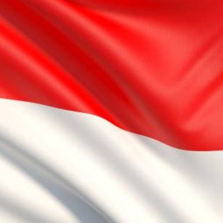 @indonesiabicara