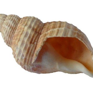 @inf28
