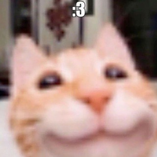 @infduck