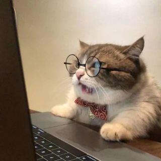 @info2xachat