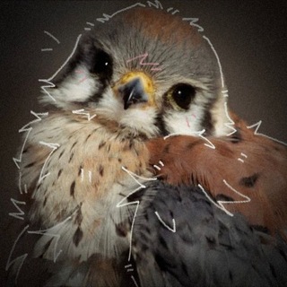 @info_zkestrel