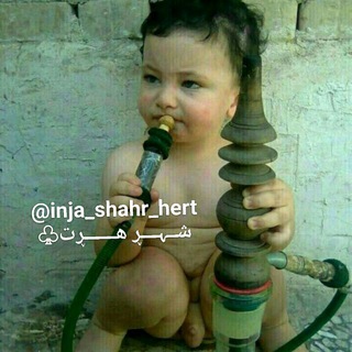 شــــــہــــڕ هــــڕت🍃