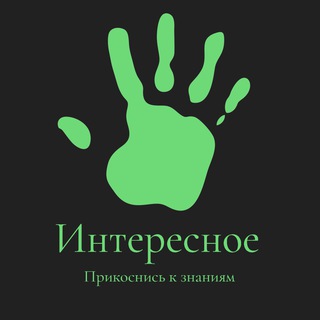 Интересное