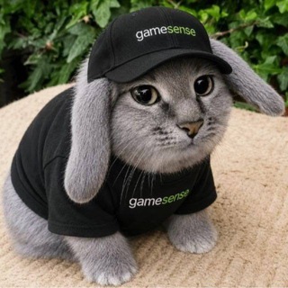@investorrage