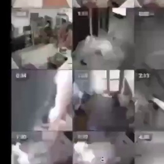 @ipvoyeur