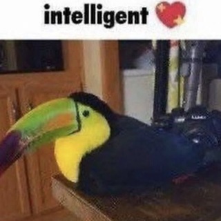 @irl_longan