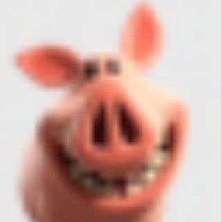 @Irl_zanka
